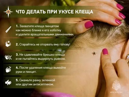 Что надо делать после укуса