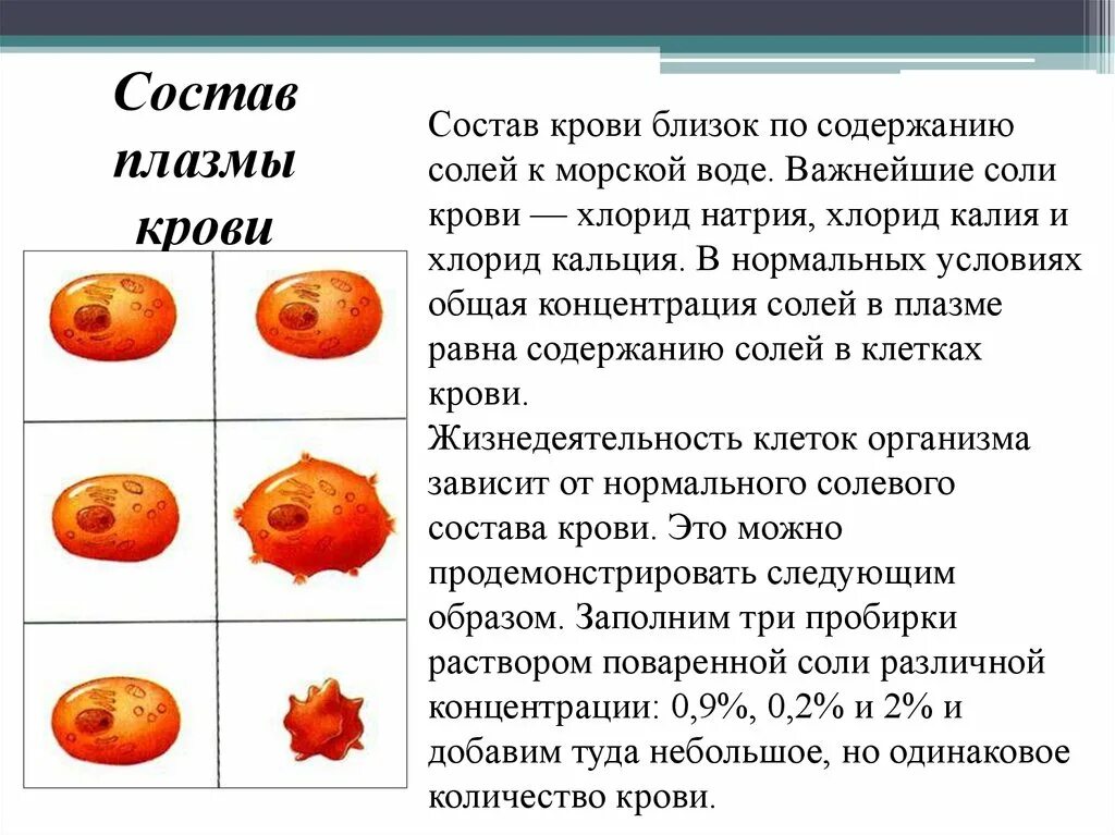 Концентрация калия в плазме крови