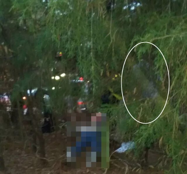 необъяснимые истории из реальной жизни. странные существа снятые на камеру. мистические происшествия. странные мистические происшествия. самые загадочные истории.