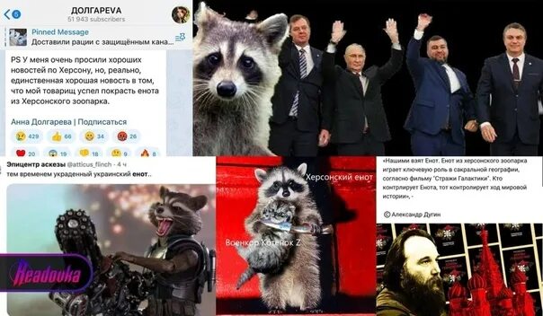 Мем с енотом 2025 @capcutmemes
