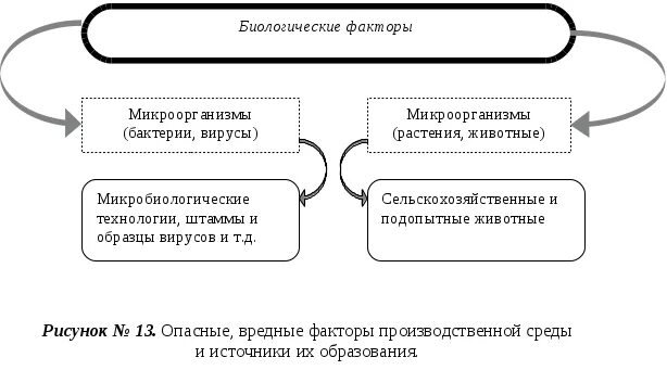 Взаимосвязь социальных и биологических факторов в эволюции человека. Биологически значимые факторы. Биологические факторы риска. Социально биологические факторы здоровья это. Биологические факторы влияющие на здоровье медперсонала.