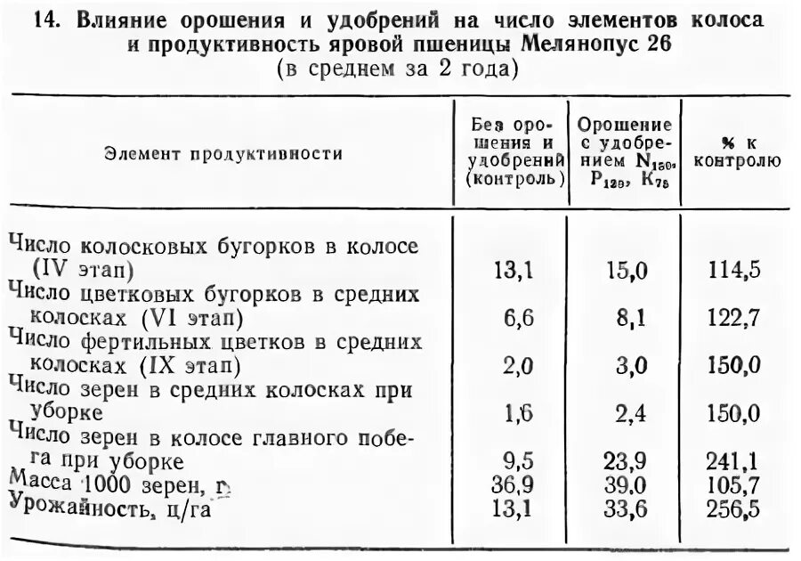 число колосков в колосе пшеницы. лицевая сторона колоса пшеницы. число колосков в колосе пшеницы. альбидум пшеница. число зерен в колосе ячменя.