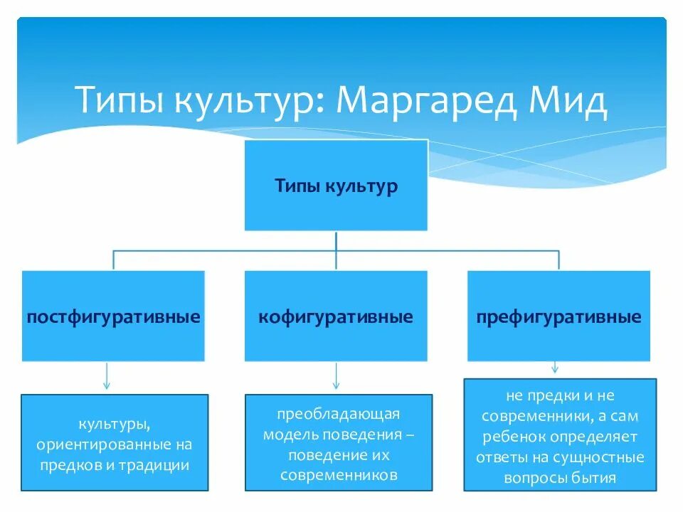 Социально исторические типы культуры. Типы культур по м.МИД. Типы культуры. Типы и виды культуры. Типы культуры в культурологии.