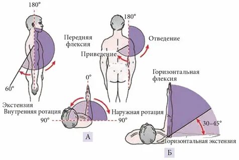 Внутренняя ротация