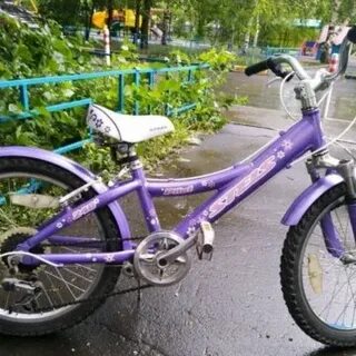 Pilot 240 md