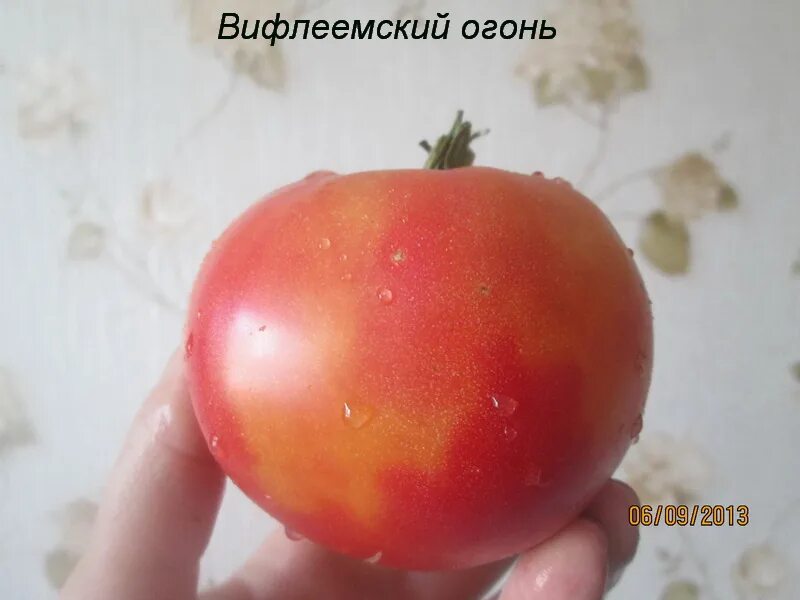 Вифлеемский огонь - Альбомы - tomat-pomidor.com