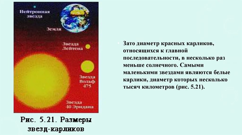 Средняя плотность белых карликов. Размеры звезд карликов. Солнце самая маленькая звезда. Плотность белого карлика. Главная последовательность звезд.