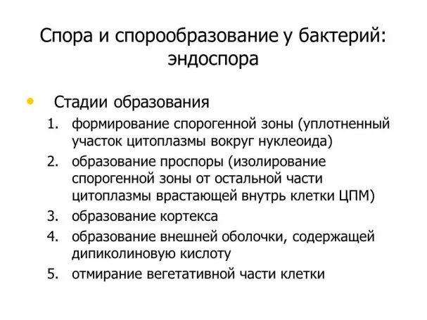 Что значит обнаружены споры. Процесс спорообразования у бактерий. Стадии спорообразования у бактерий микробиология. Основные стадии спорообразования у бактерий. Назовите стадии спорообразования у бактерий.