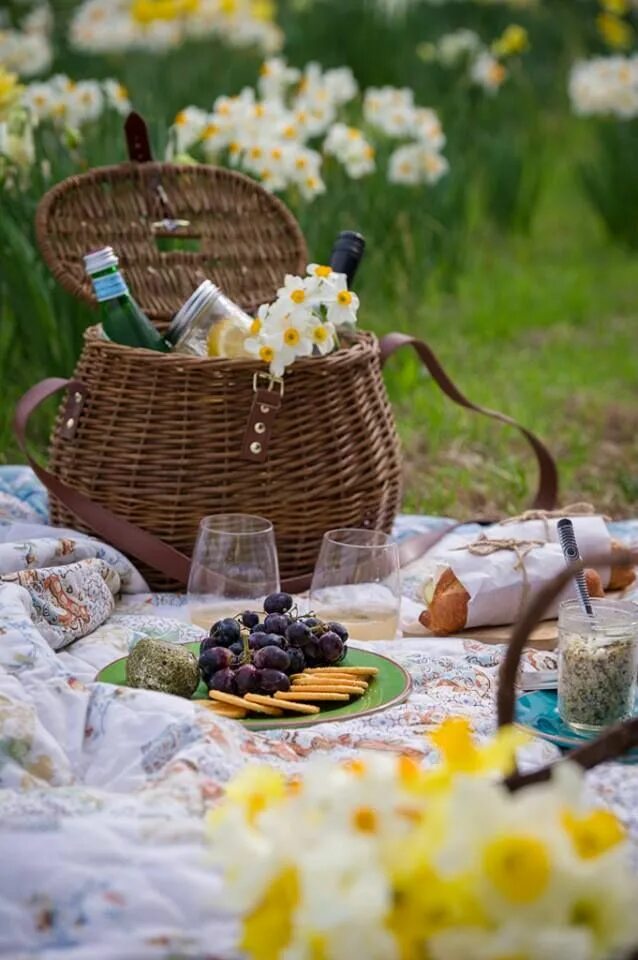Пикник цвет. Пикник на природе. Летний пикник на природе. Весенний пикник на природе. Корзинка для пикника.