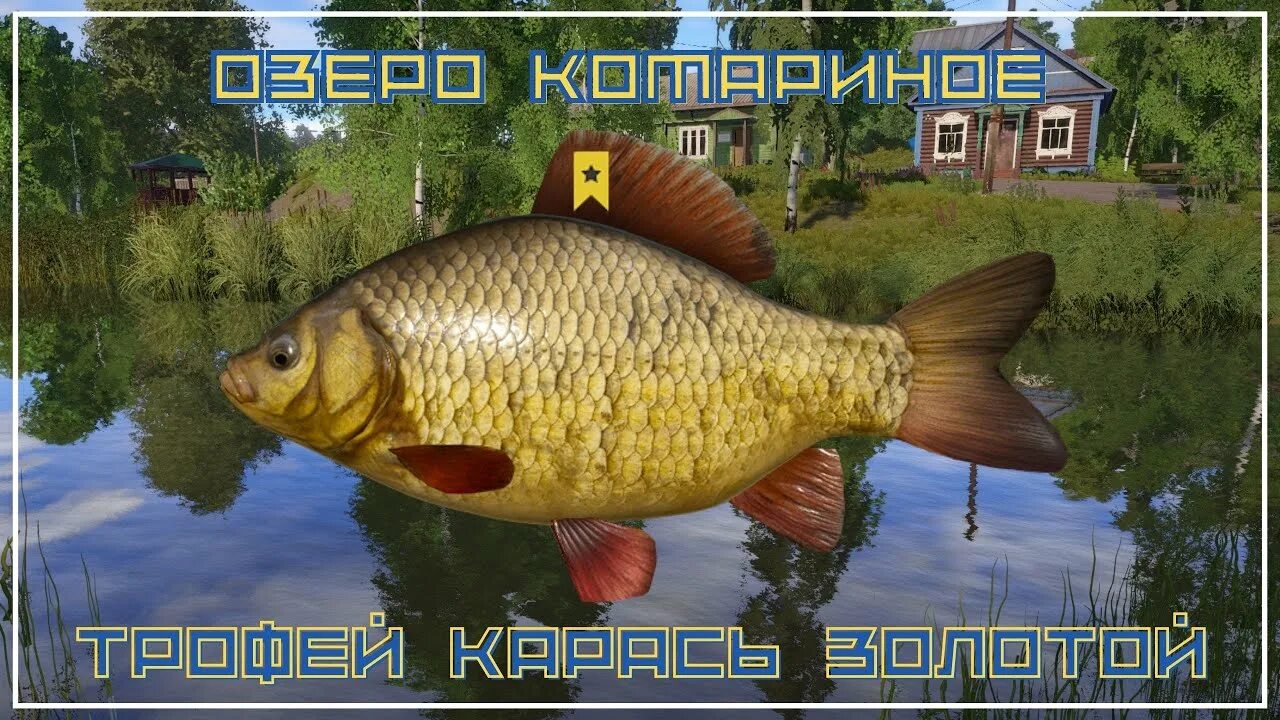 На что ловить карася в рр4 РР4 КОМАРИНОЕ КАРАСЬ / РУССКАЯ РЫБАЛКА 4 КАРАСЬ / RUSSIAN FISHING 4 MOSQUITO LAK