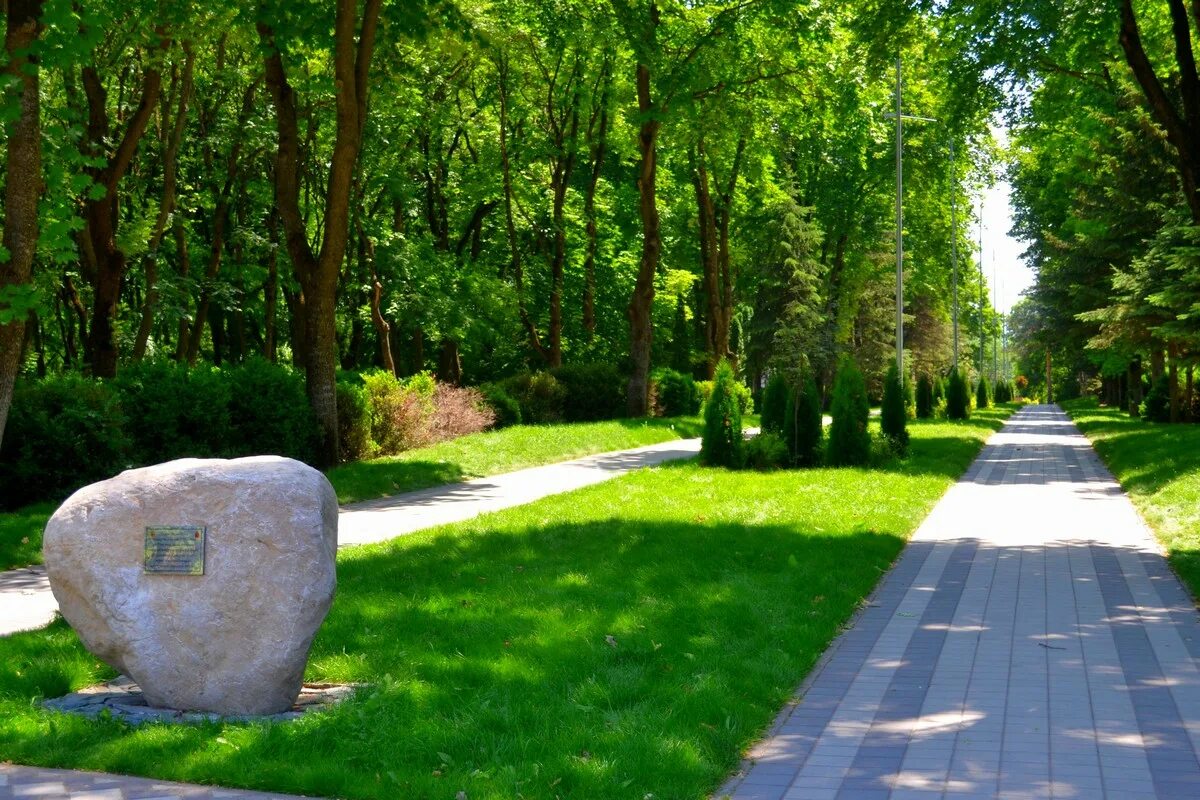 Идеи для парка. Форт боярд чебоксары лакреевский лес. Park house 3 ессентуки кавминводы. Парк трудовые резервы тушино. Хьюстон парки.