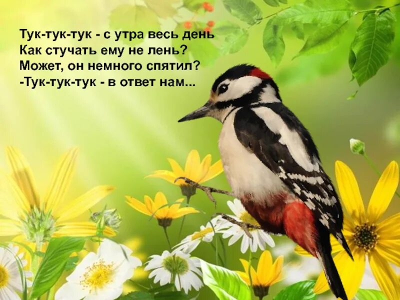 Тук тук доброе. Тук тук тук доброе утро. открытка тук тук. тук тук с добрым утром. тук тук доброе утро картинки.