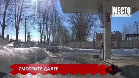 Выживалити 22.03 24
