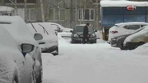 Прогноз на 10 дней сургут