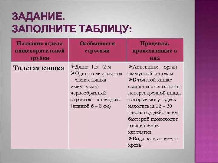 Тончайшее отличие. Толстый кишечник отделы таблица. Сравнение тонкого и Толстого кишечника таблица. Строение тонкой кишки таблица. Функции Толстого кишечника таблица.