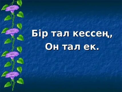 Тәрбие тал бесіктен эссе