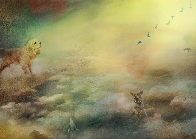 Куда уходит душа собаки. Джим уоррен картины. Куда уходит душа собаки. Собака на радуге. Лестница в небо джим уоррен.