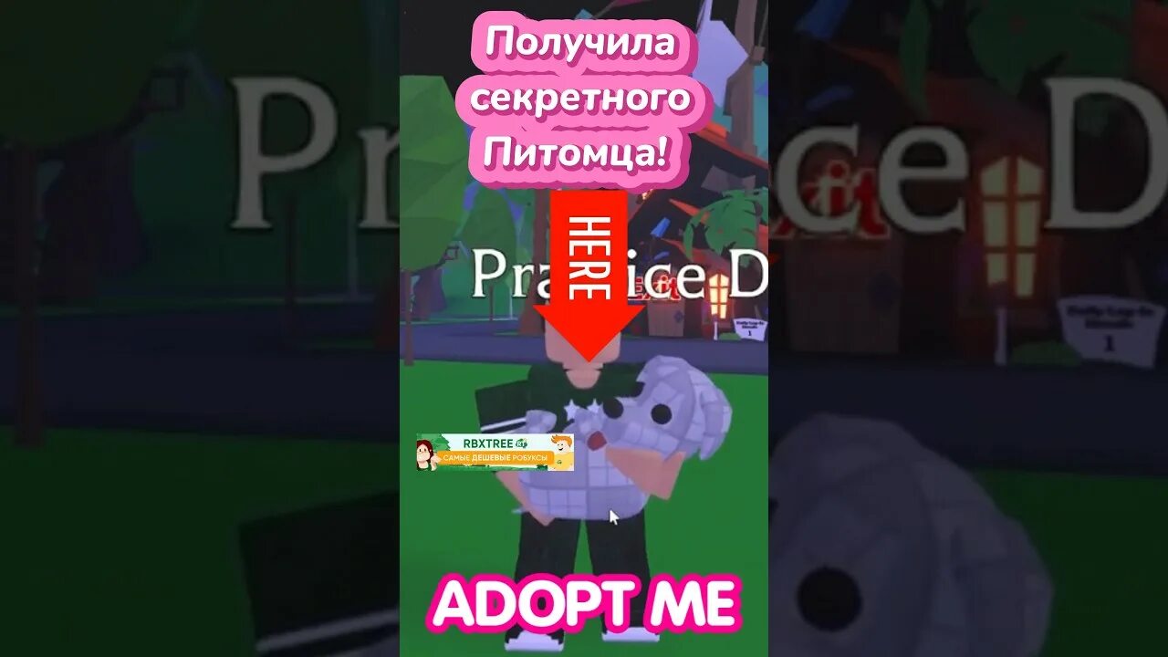 Adopt me обновление 2025