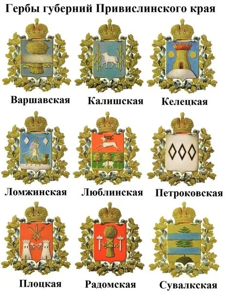 Румынский аналог губернии. Герб российской империи губернии российской империи. гербы российской империи губернии до 1917. гербы российских губерний. гербы российской империи гербы российских губерний.
