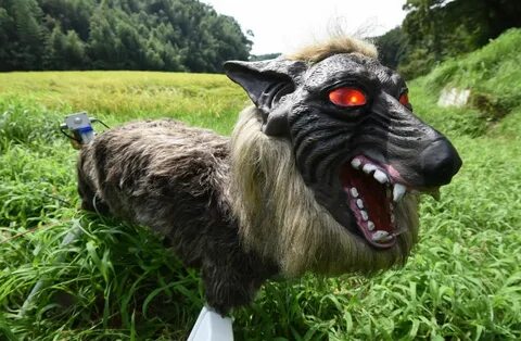 Scary animals