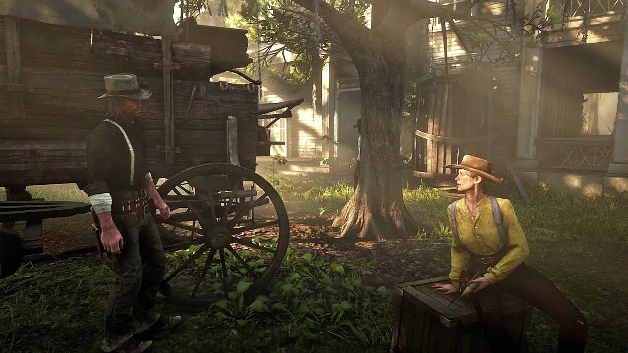 Rdr 2 Arthur and Sadie. Сэди Адлер РДР 2. Сэди Адлер и Джон Марстон.