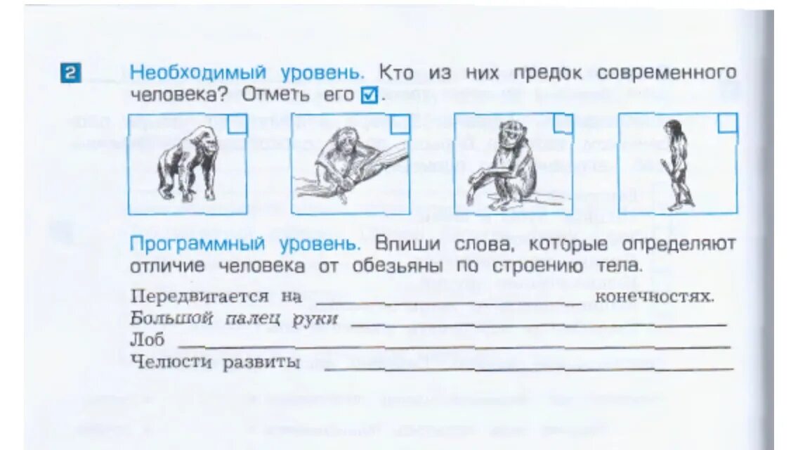 Окружающий мир и отличить. Вопросы для 4 класса по окружающему. Ноги обязаны и человека разница.