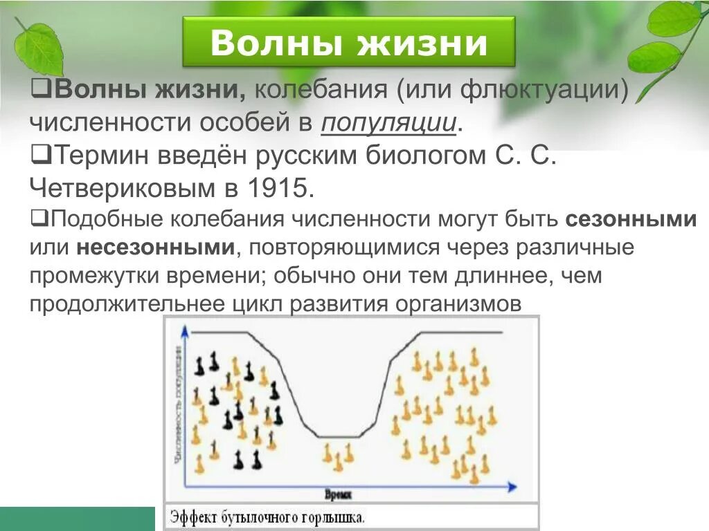 Численность особей равна. Колебания численности особей в популяции. Волны жизни колебания численности. Периодические и непериодические колебания численности популяции. Волны жизни популяционные волны.