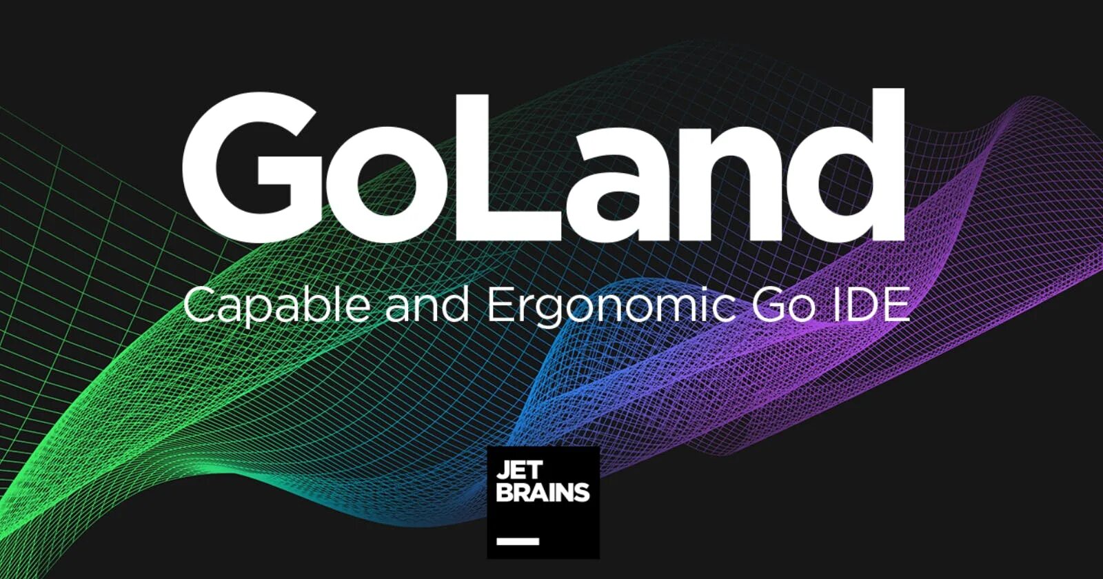 Jetbrains license 2025. Jetbrains. логотип jetbrains. goland ide. goland 2025.