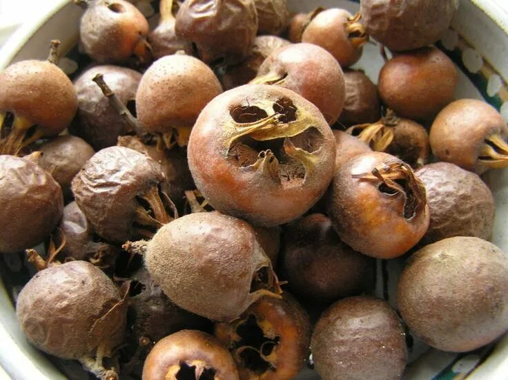 Loquats from Organic Farming Stock Image - Image of board, ingredients: 41466943