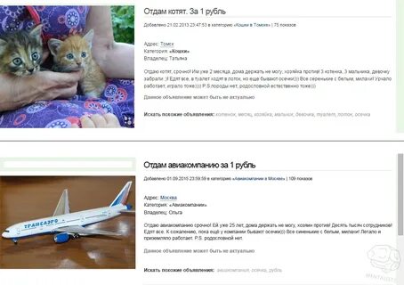 Отдам кота в добрые руки