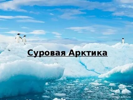 Слово арктика происходит