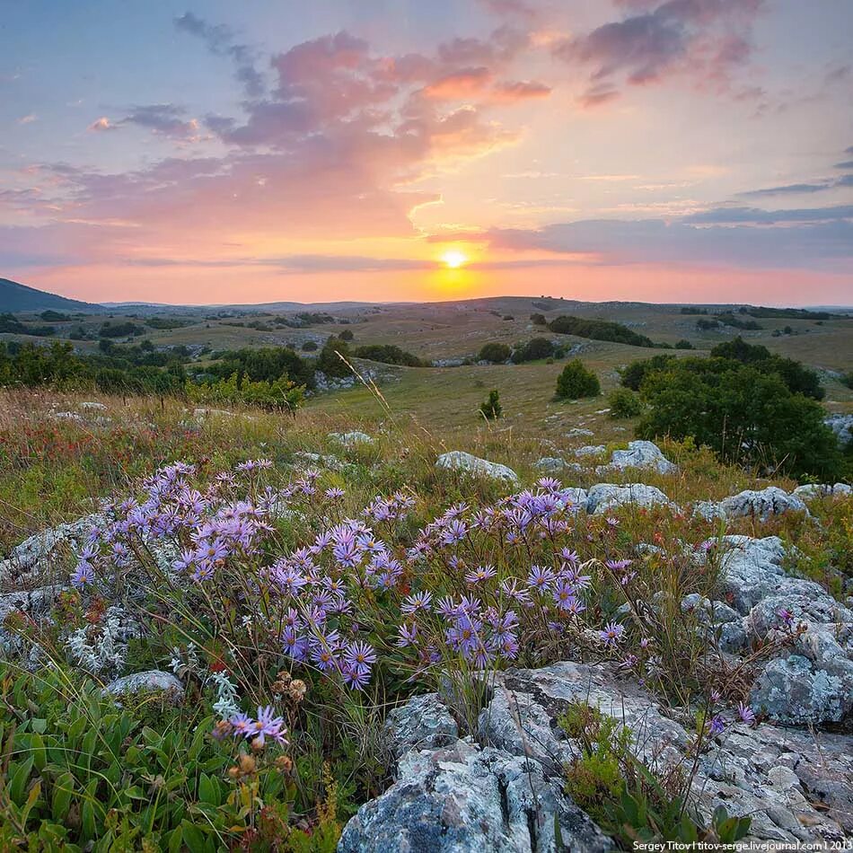 Плато Караби Крым. Разнотравные степи Крыма. Горный и Степной Крым. Горы Крыма Луга. Крымские степи и крымские горы