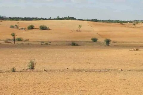 Ground land