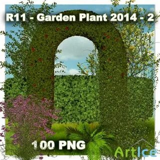 Plant 2014