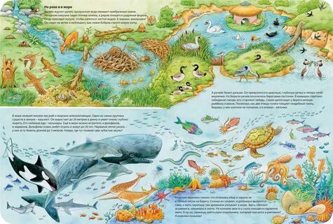 Животные и их мир книга