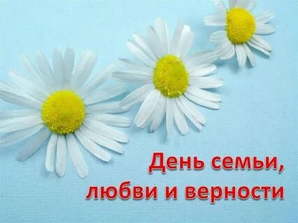 С днем семьи любви ромашка