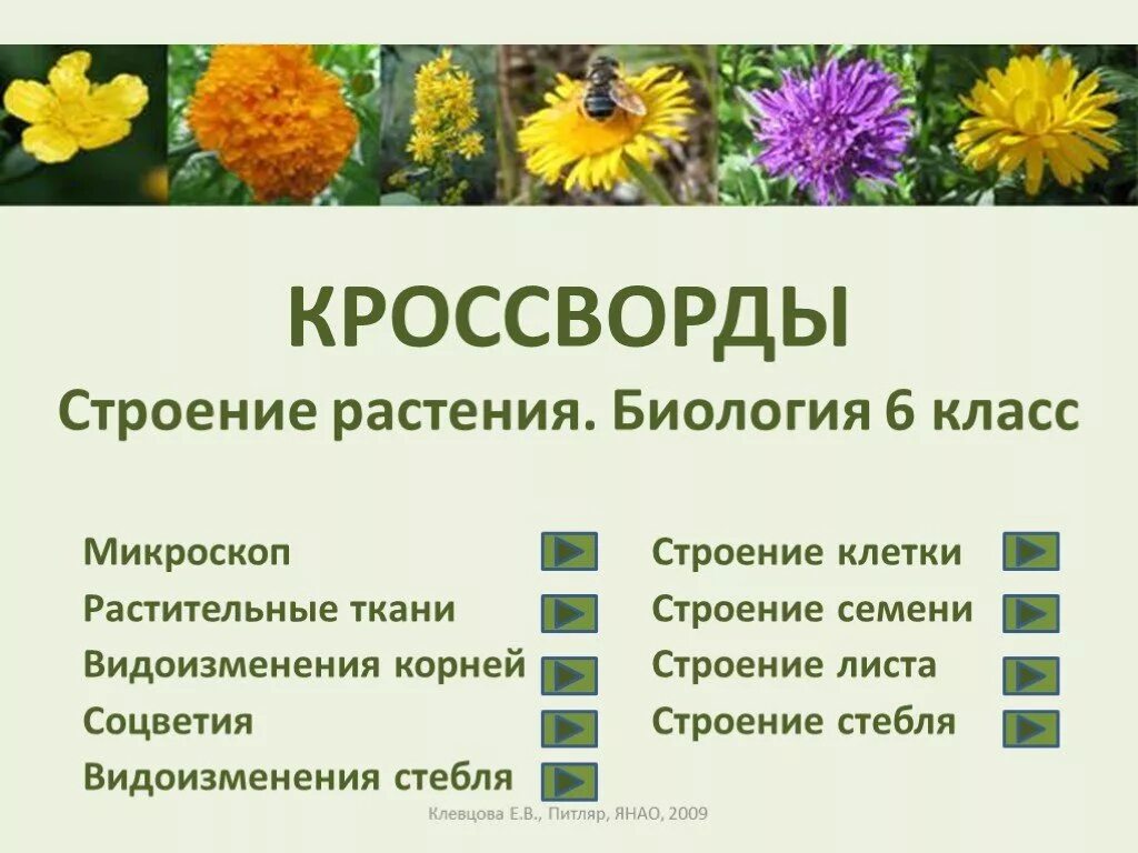 Кроссворд клеточное строение листа. Растения биология. биология тема растения. растения биология 6 класс. кроссворд строение растений.
