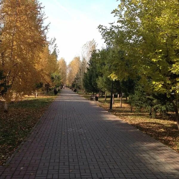 Проспект в кирове