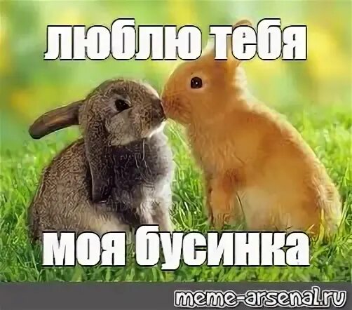 Бусин мем