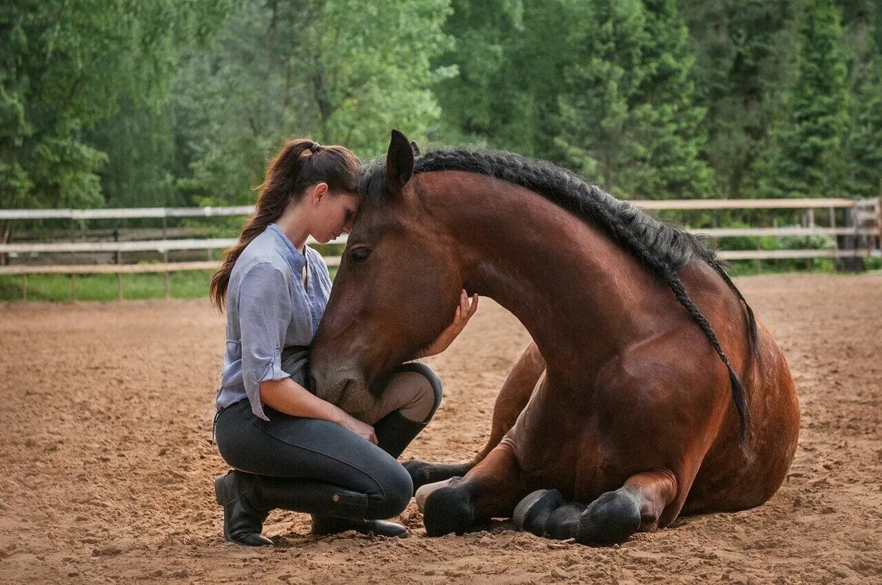 конь между ног