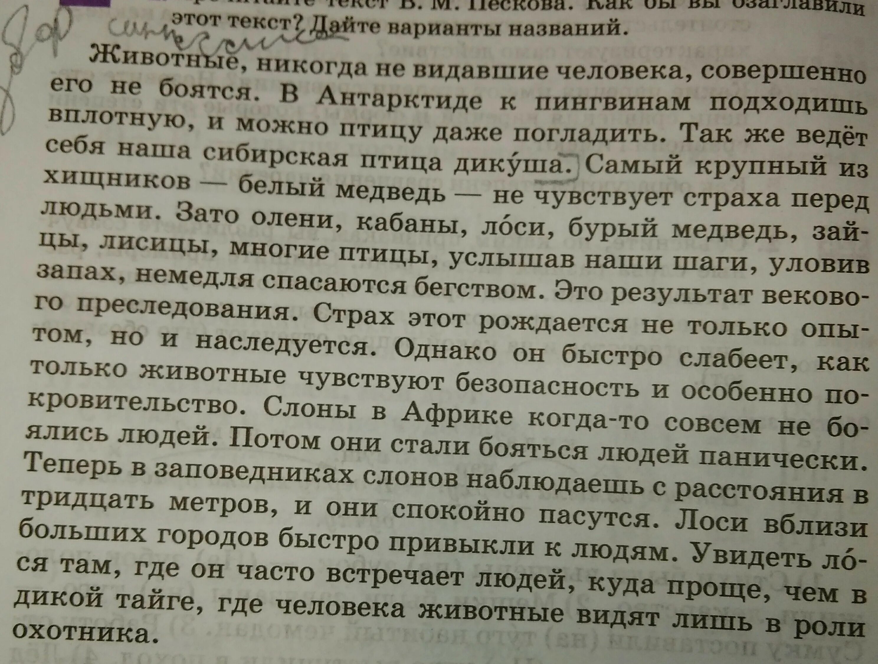 На следующие вопросы по тексту. Ответы этого текста. ответы к этому тексту. ответы на этот текст. этот текст.