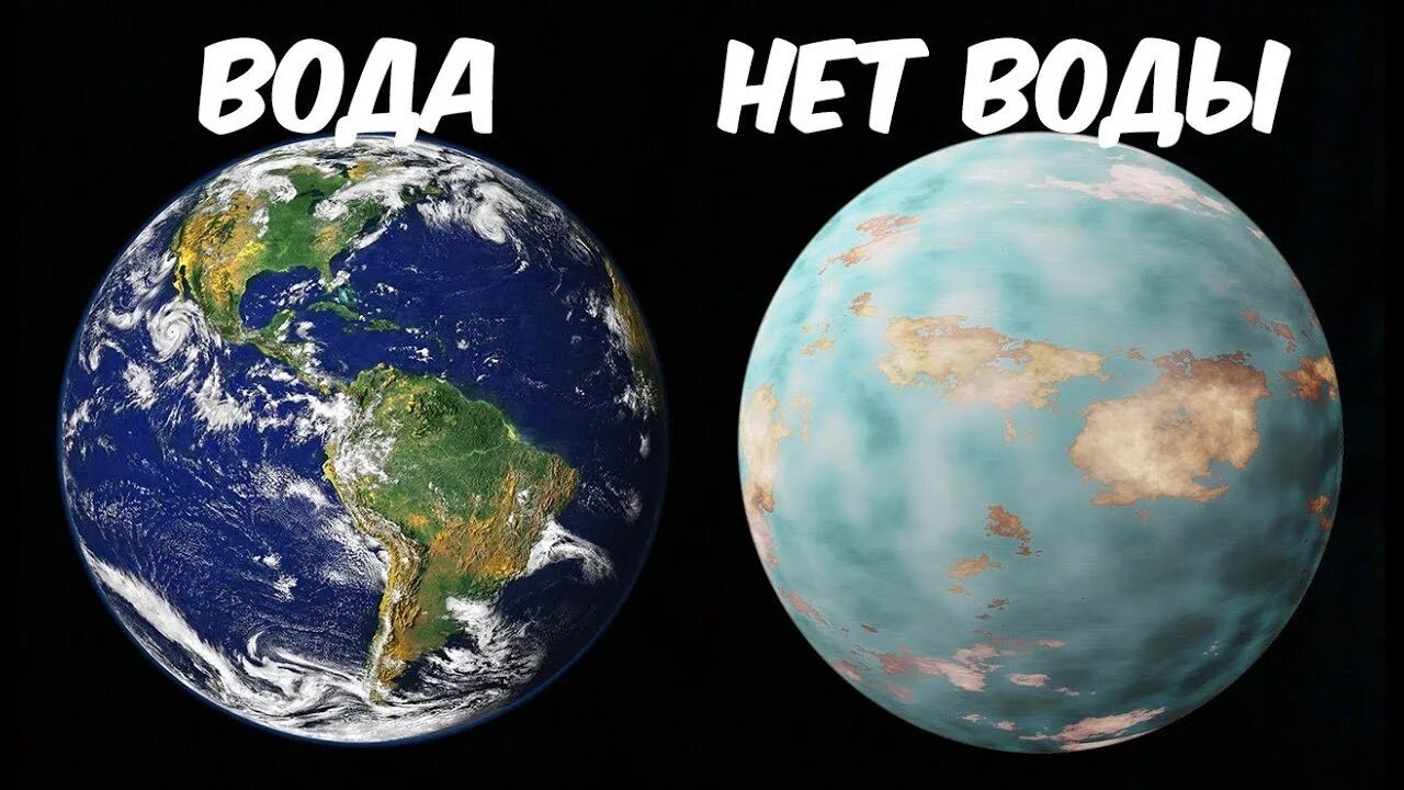 Если бы не было бактерий на земле. Если с земли исчезнут растения. Биосфера земная оболочка. Если б не было земли. Земля если не было растений.