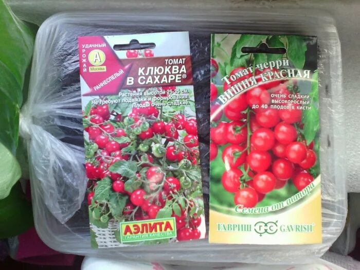 Томат клюква в сахаре описание. Томат сладкая клюква. помидоры черри клюква в сахаре. сорт помидор клюква в сахаре. семена томат клюква в сахаре.