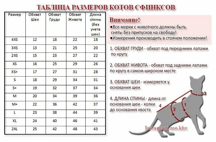 Лекала одежды для сфинксов. Как определить размер кота для одежды. Как определить размер кота для одежды. Размер кота по месяцам таблица. Одежда для сфинкса таблица размеров.