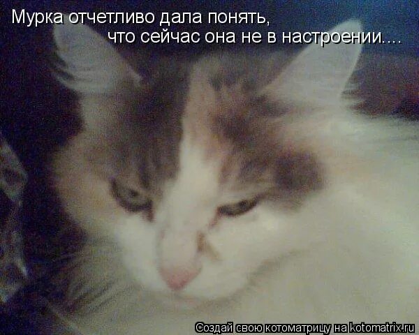 отчетливо любимый