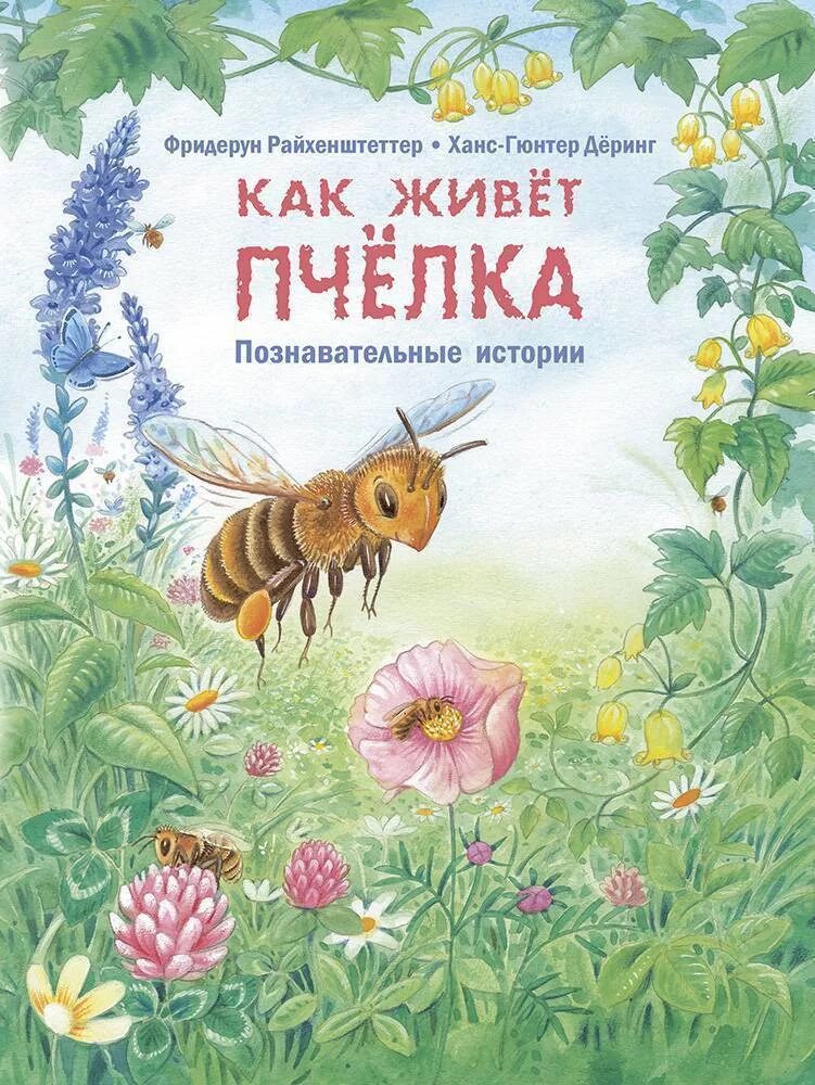 Книги познавательные рассказы. Райхенштеттер ф. "как живет Пчелка". Фридерун Райхенштеттер Познавательные истории. Вкниги о пчёлах для детей. Книга пчелы.