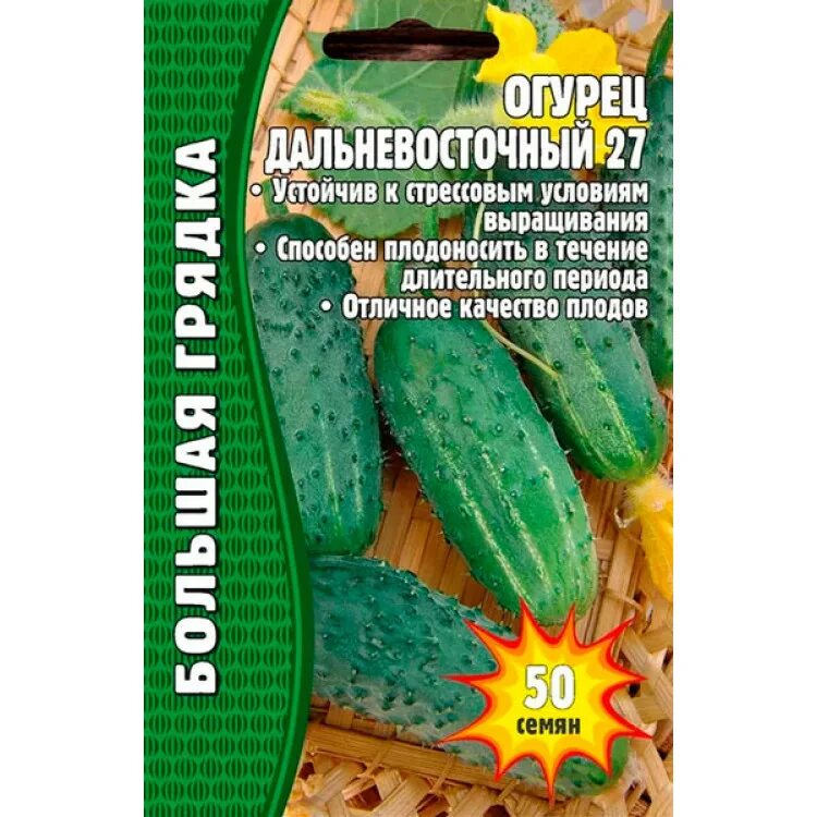 Огурец дальневосточный 27 описание сорта. Огурцы сорт дальневосточный 27. огурец дальневосточный 27 всходы. огурец дальневосточный описание. дальневосточный 27.