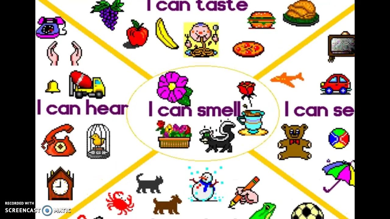 I can t wait to see you. Постер taste smell feel. картинки для описания i can see. what can you smell. see hear smell taste touch.