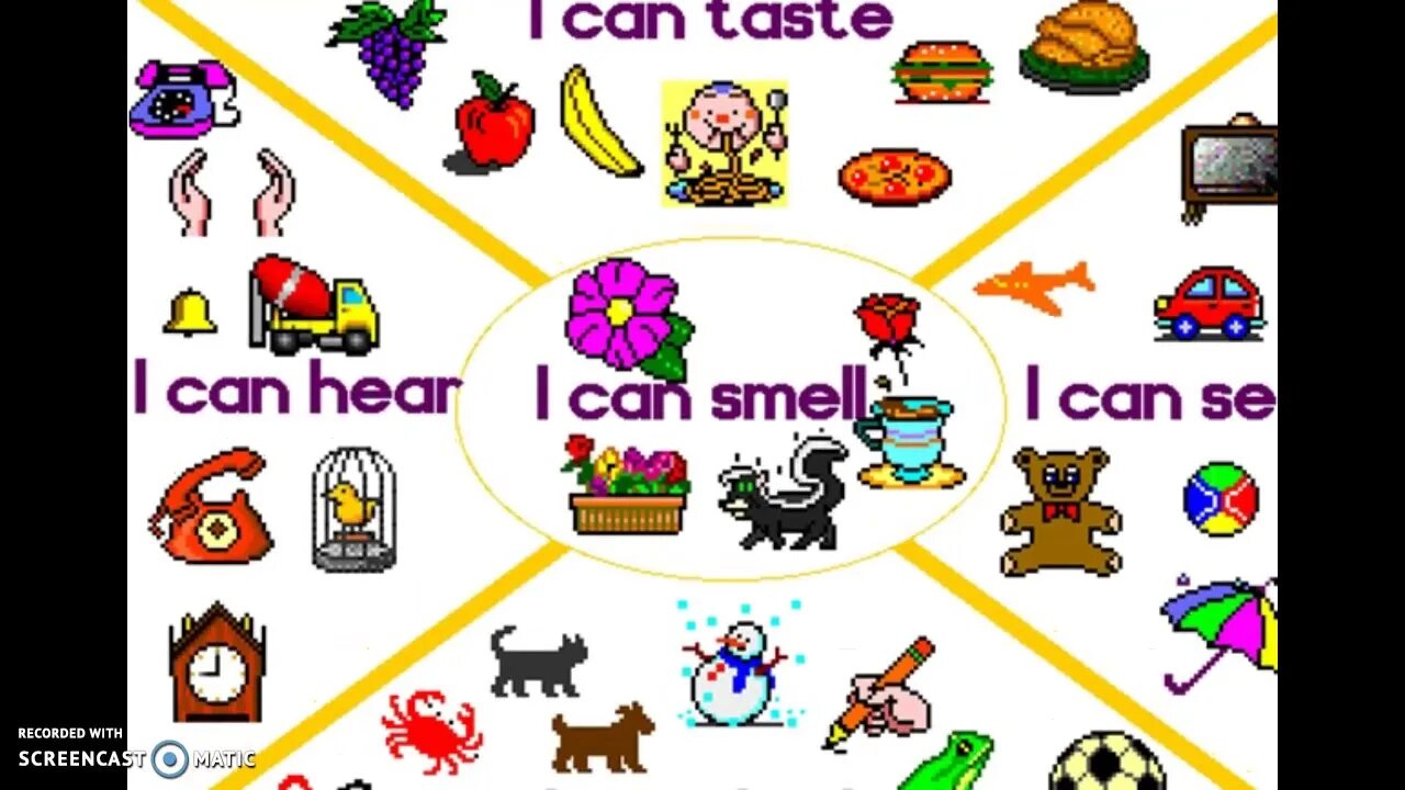 Постер taste smell feel. Картинки для описания i can see. What can you smell. See hear smell taste Touch. See hear feel