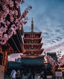 Tokyo s